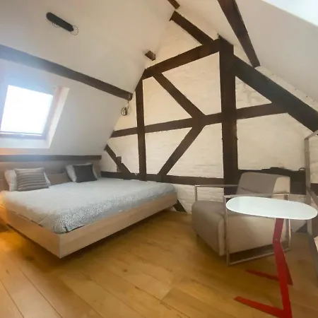 Triplex Neuvice Apartment Liege Exterior photo